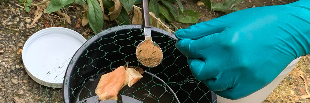 Image illustratrice de l'article