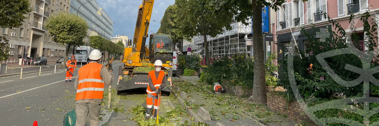 Image illustratrice de l'article