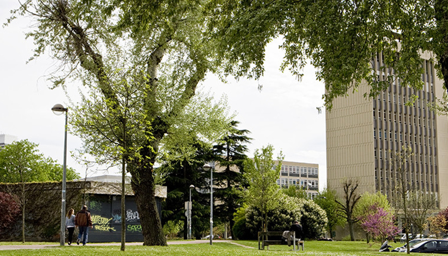 Image vignette illustrative