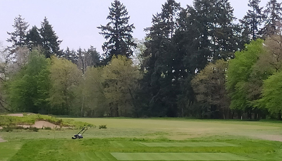 Image illustratrice de l'article