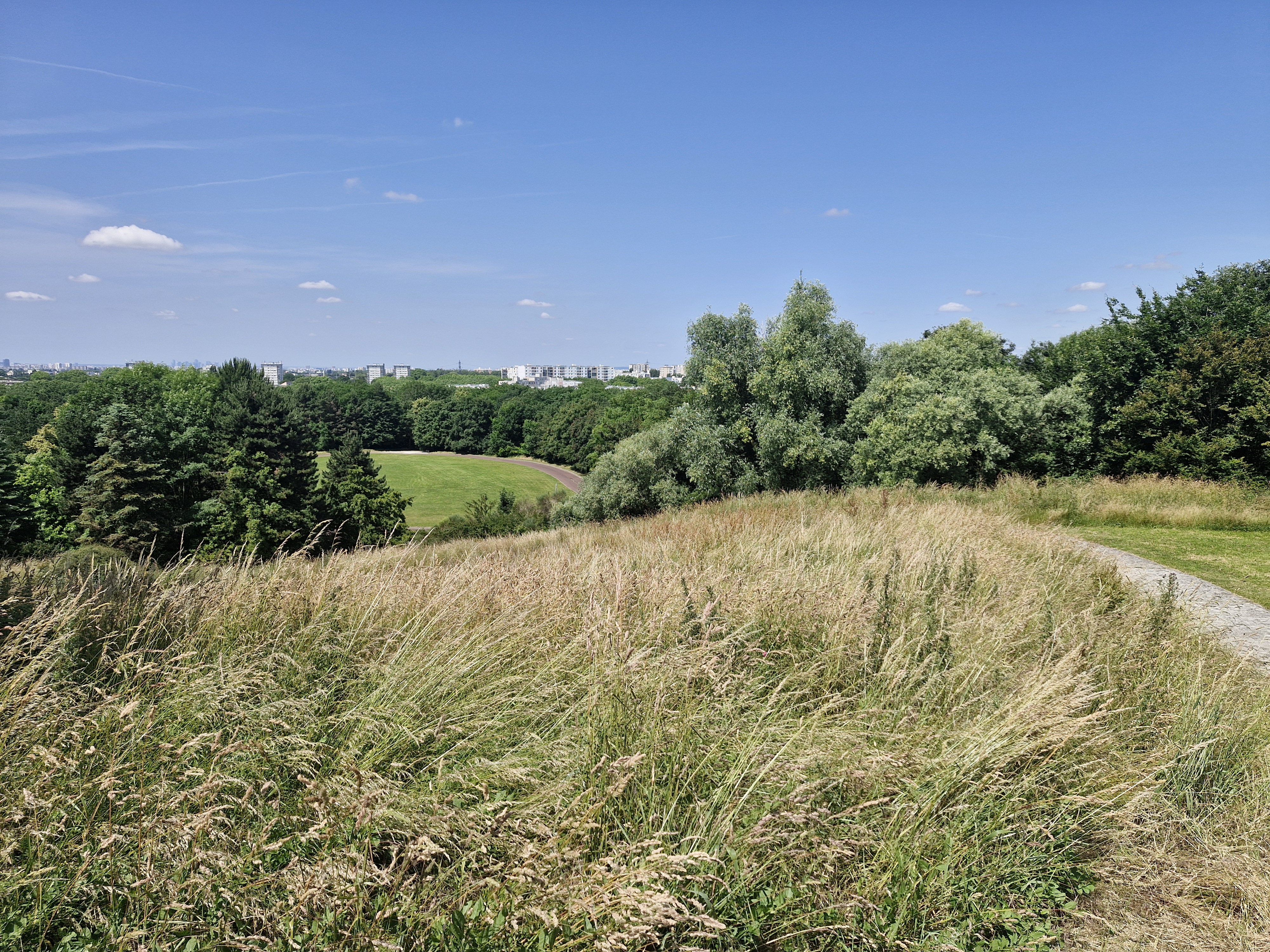 Parc de Montceleux de la commune de Sevran – Inventaire de biodiversité réalisé en 2025 par Fredon Ile de France