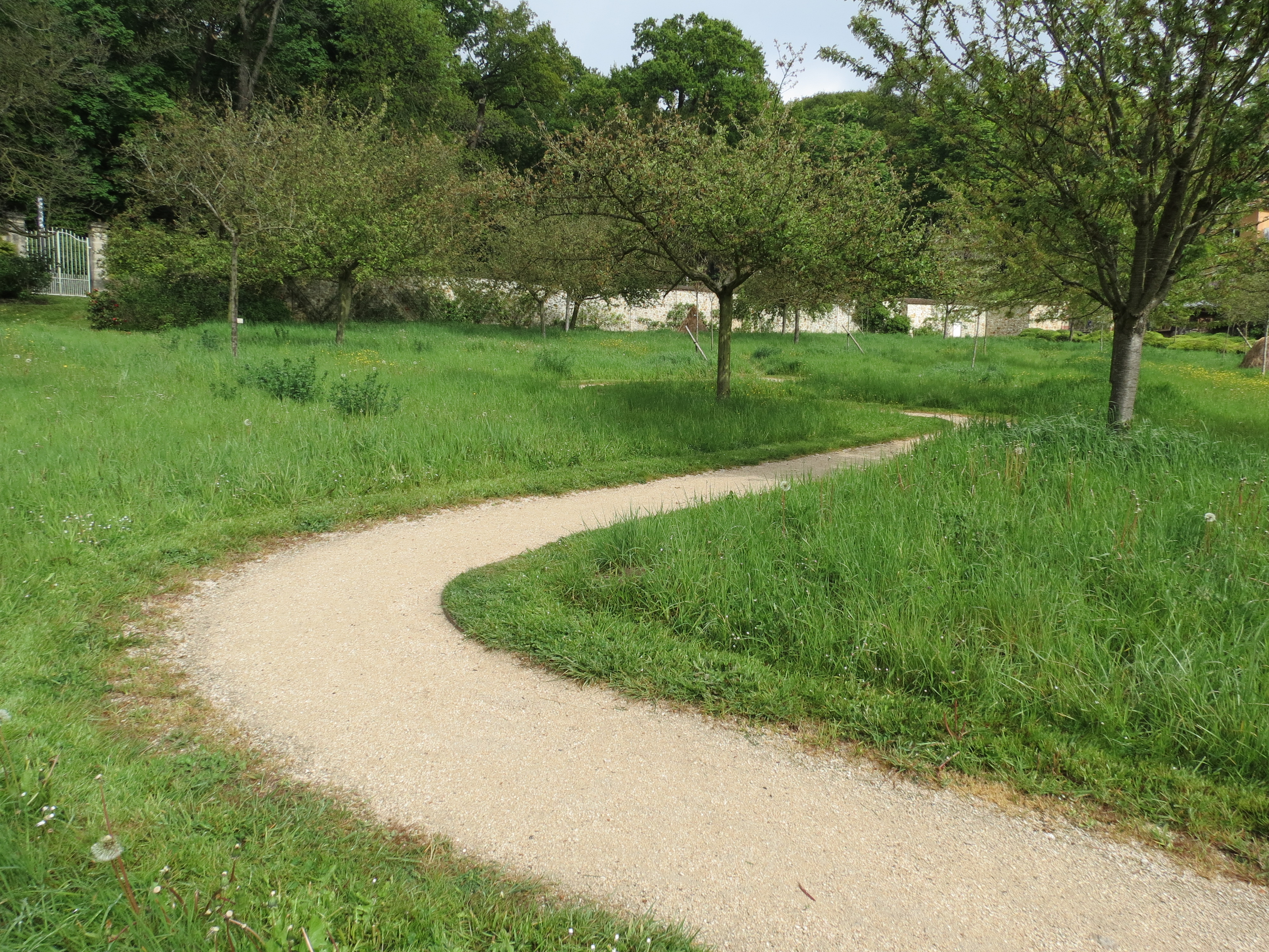 Gestion différenciée des espaces verts en ville : optimiser l’entretien et favoriser la biodiversité urbaine