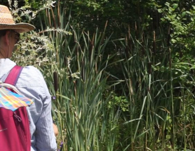 Atlas de Biodiversité Communale à Suresnes